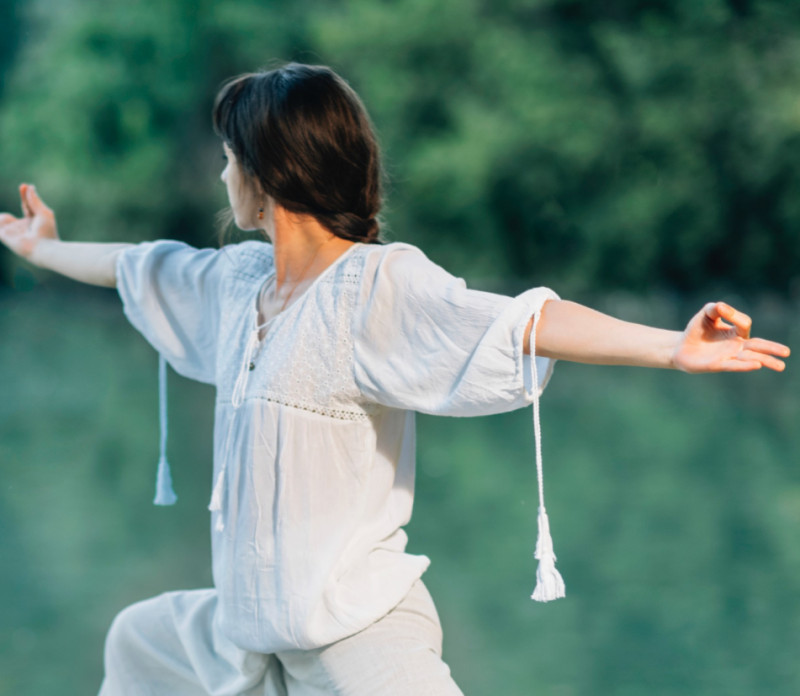 Rencontre amicale des arts énergétiques et martiaux chinois