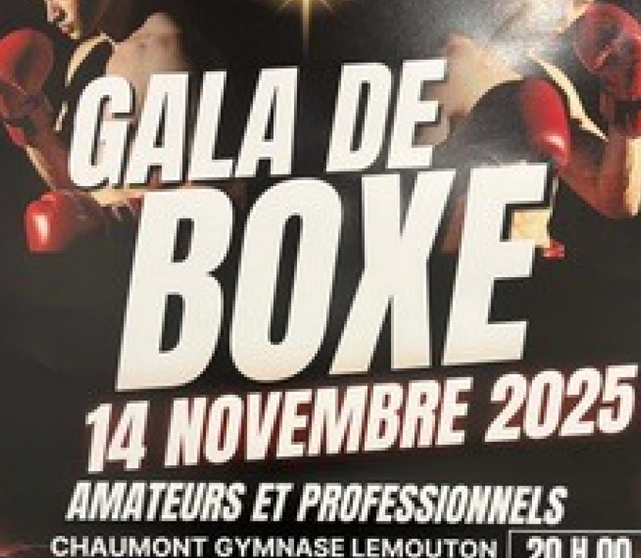 Gala de boxe