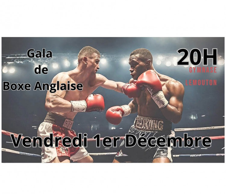 AGENDA SPORTIF DU WEEK-END - 1